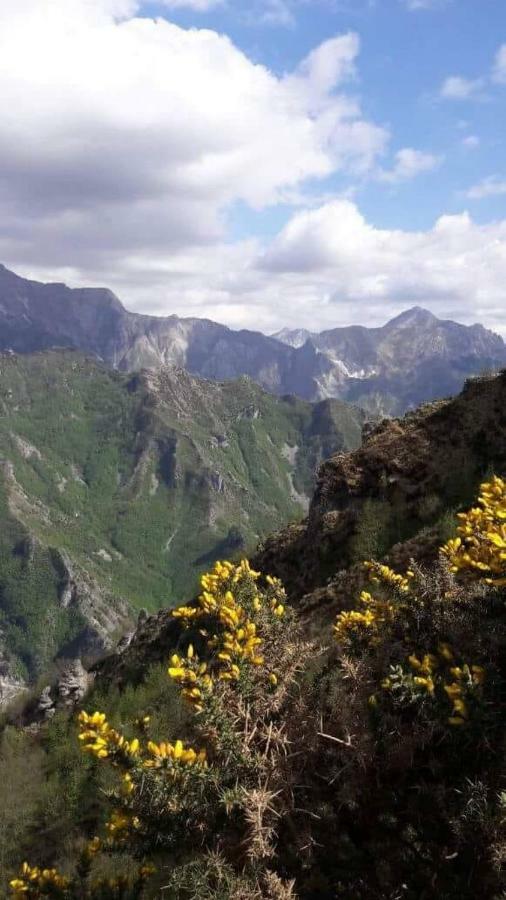 L ' Canton B & B Colonnata Kültér fotó